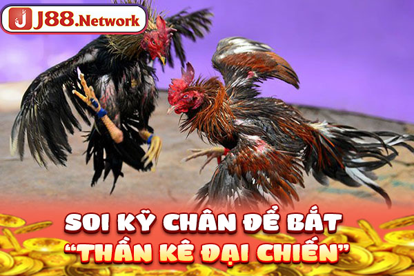 Soi kỹ chân để bắt “thần kê đại chiến” Soi kỹ chân để bắt “thần kê đại chiến”